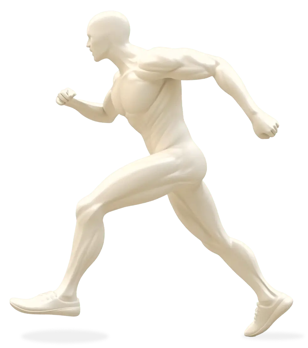 Body model showing treatment areas